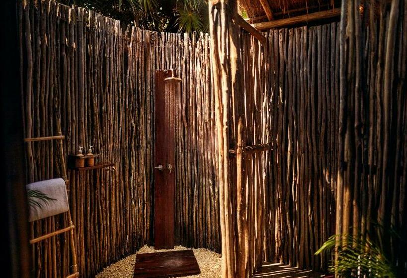 اتاق استاندارد, Our Habitas Tulum