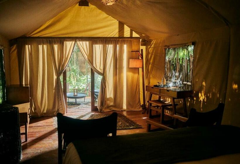 اتاق استاندارد, Our Habitas Tulum