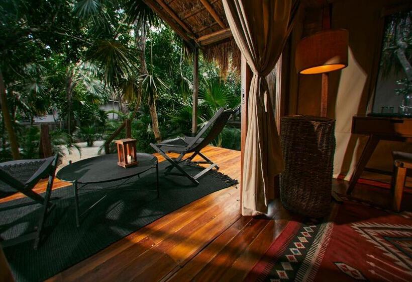 اتاق استاندارد, Our Habitas Tulum