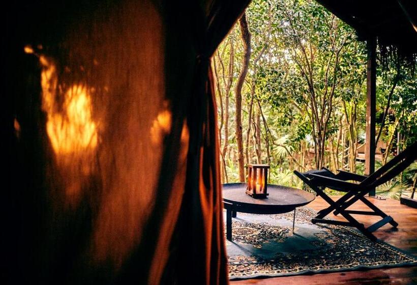 اتاق استاندارد, Our Habitas Tulum