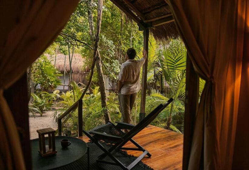 اتاق استاندارد, Our Habitas Tulum