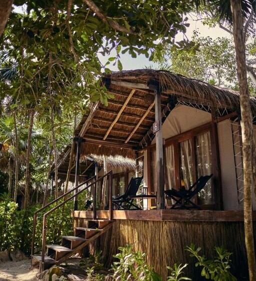 اتاق استاندارد, Our Habitas Tulum