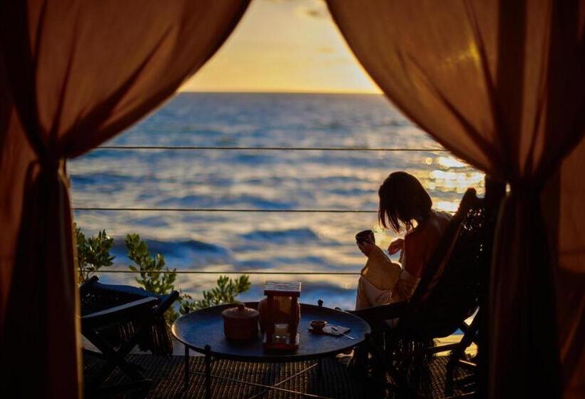 اتاق استاندارد با چشم‌انداز دریا, Our Habitas Tulum