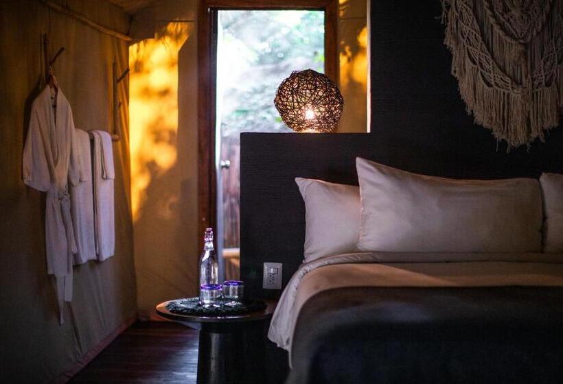 اتاق استاندارد با چشم‌انداز دریا, Our Habitas Tulum