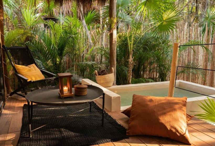 اتاق استاندارد, Our Habitas Tulum