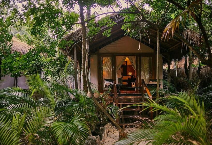 اتاق استاندارد, Our Habitas Tulum