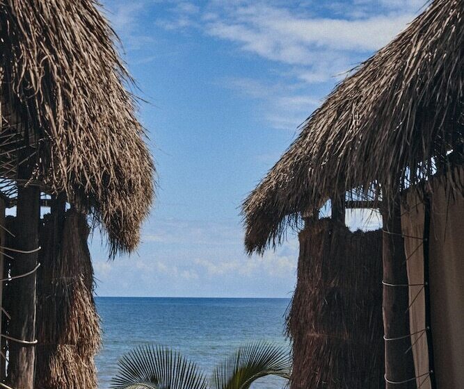 اتاق استاندارد, Our Habitas Tulum