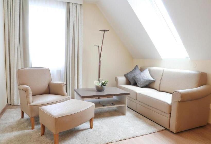 غرفة سوبيريور, Sorgerhof