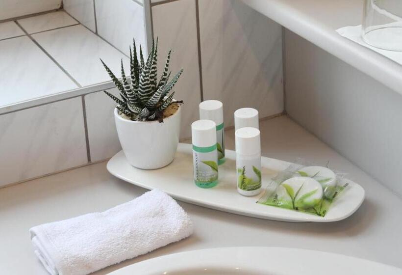 غرفة قياسية فردية, Sorgerhof