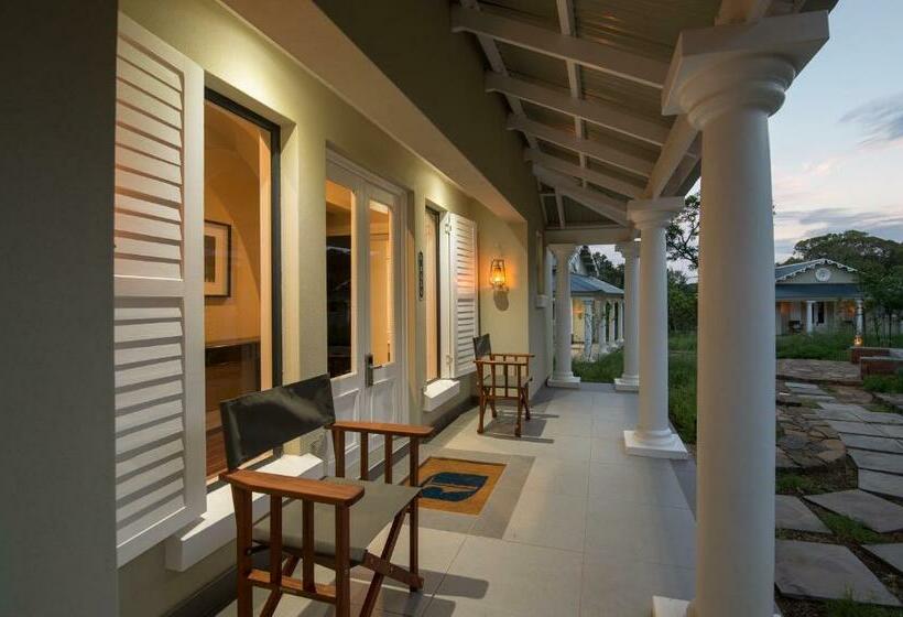 جناح إدارى, The Royal Fischer