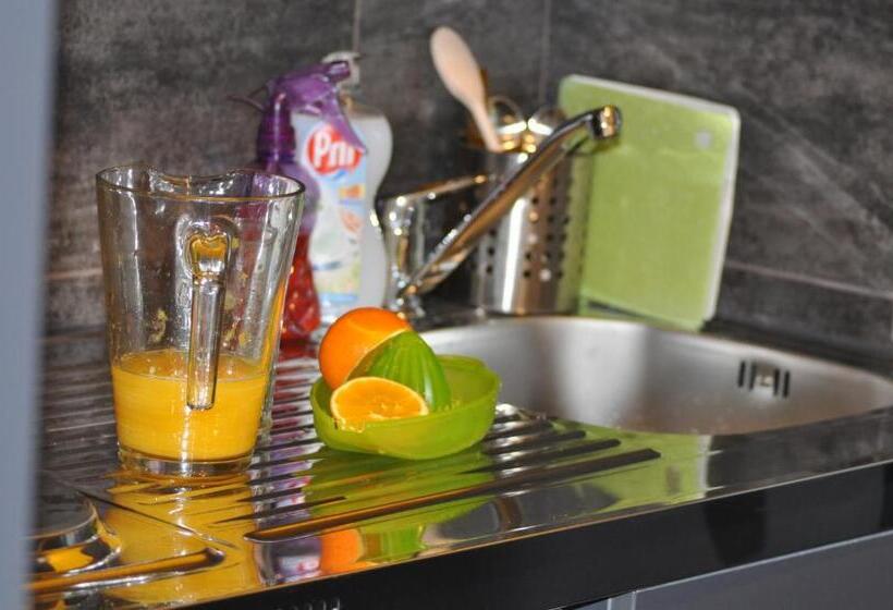 استودیوی استاندارد, Hostel Villa Domus