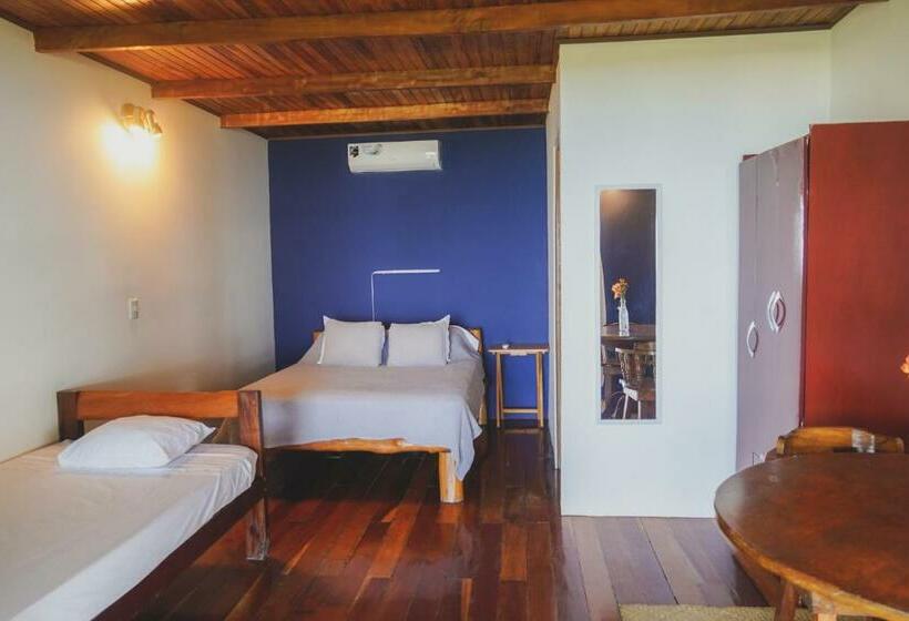 اتاق استاندارد با چشم‌انداز دریا, Buenos Aires