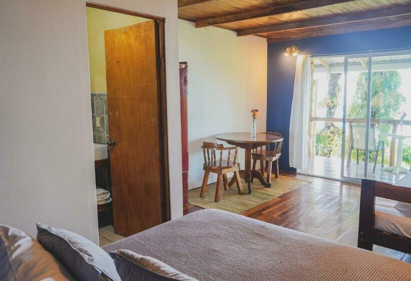 اتاق استاندارد با چشم‌انداز دریا, Buenos Aires