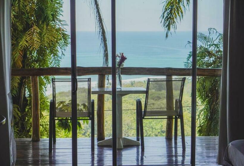 اتاق استاندارد با چشم‌انداز دریا, Buenos Aires