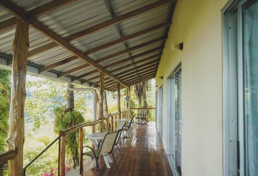 اتاق استاندارد با چشم‌انداز دریا, Buenos Aires