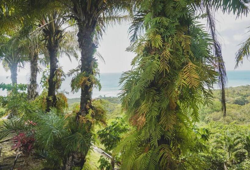 اتاق استاندارد با چشم‌انداز دریا, Buenos Aires