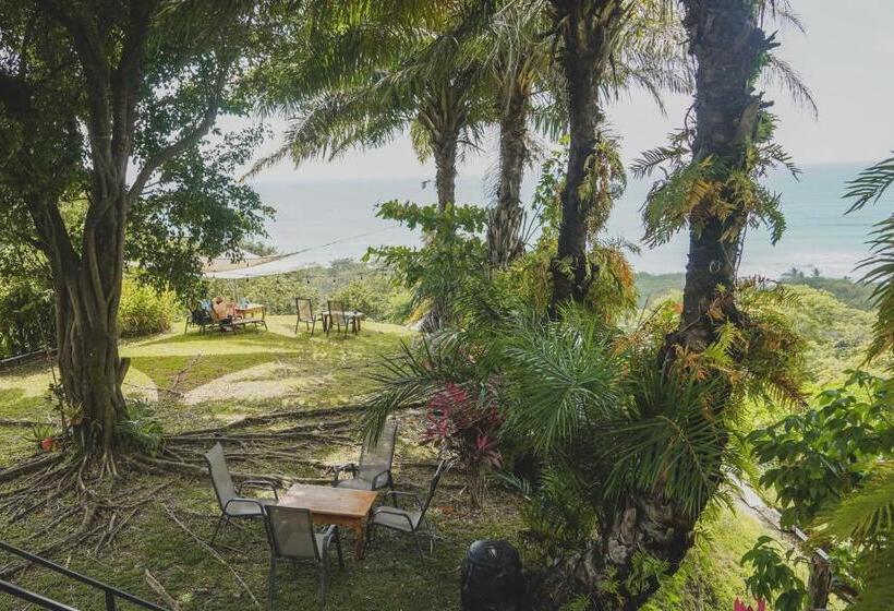 اتاق استاندارد با چشم‌انداز دریا, Buenos Aires