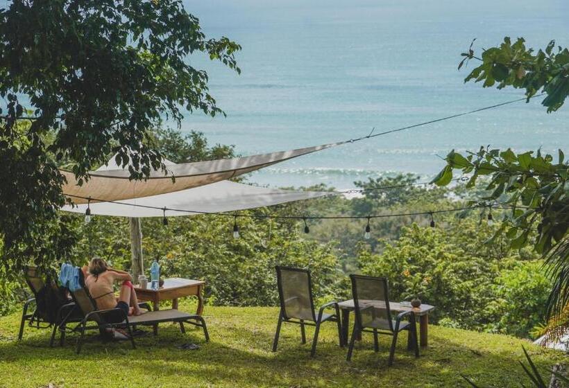 اتاق استاندارد با چشم‌انداز دریا, Buenos Aires