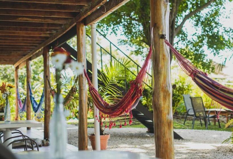 اتاق استاندارد با چشم‌انداز دریا, Buenos Aires