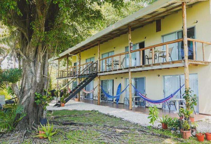 اتاق استاندارد با چشم‌انداز دریا, Buenos Aires