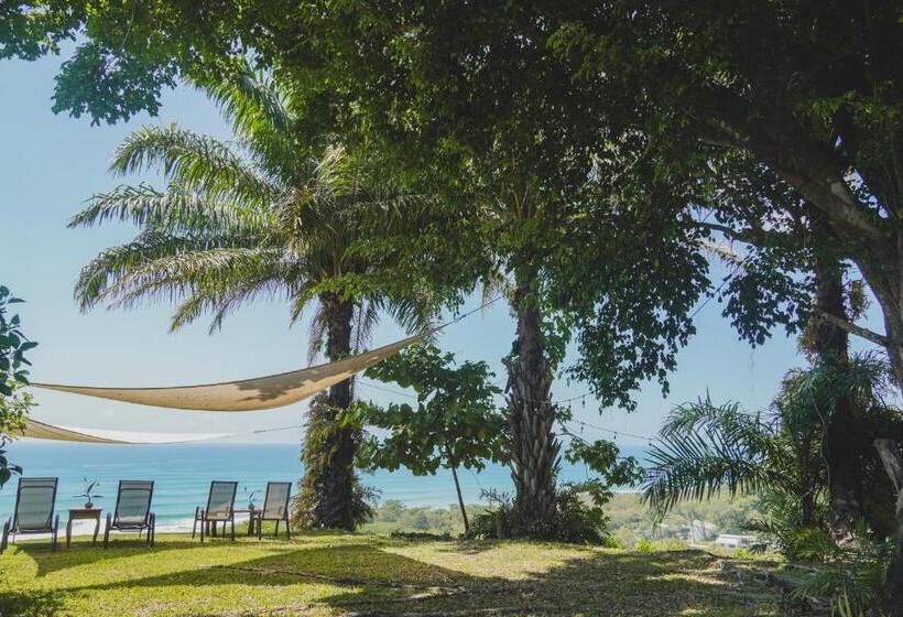 اتاق استاندارد با چشم‌انداز دریا, Buenos Aires