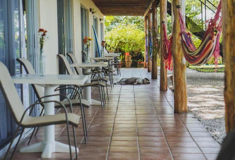 اتاق استاندارد با چشم‌انداز دریا, Buenos Aires