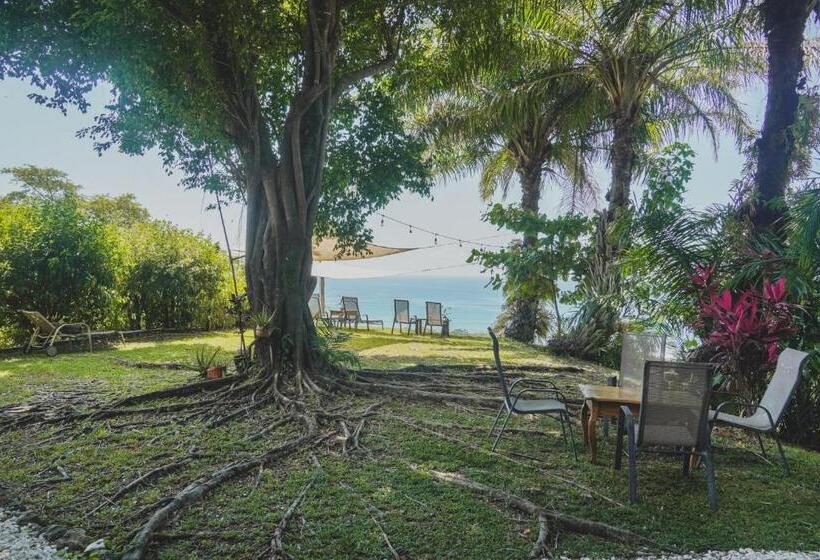 اتاق استاندارد با چشم‌انداز دریا, Buenos Aires