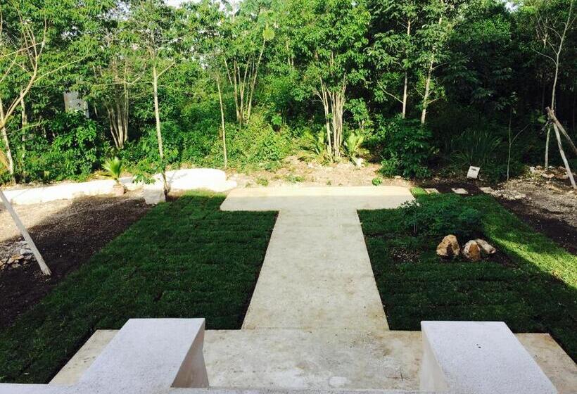 استودیوی لوکس, Casa Maya Calakmul