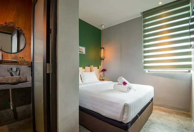Quarto superior, Finess Basic