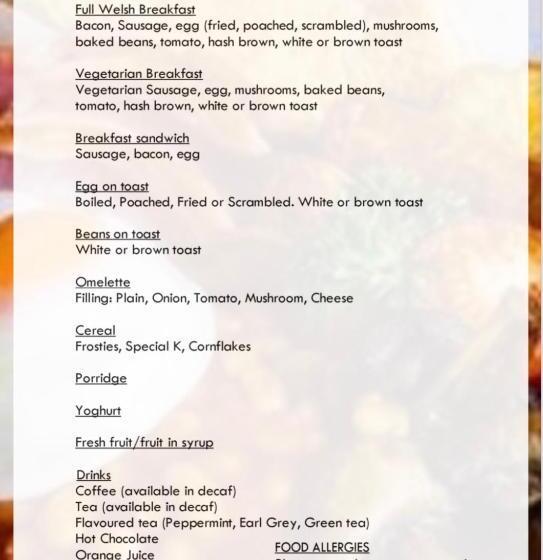 シングルデラックスルーム, The Llanelwedd Arms