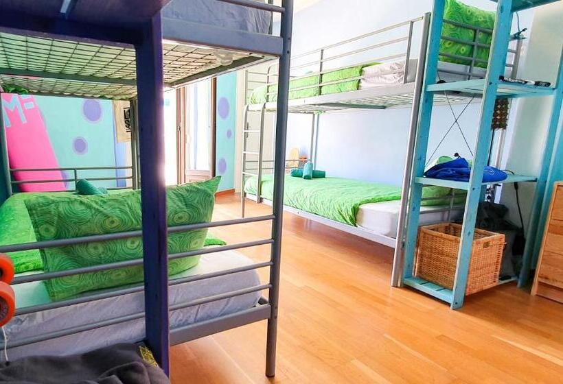 اتاق لوکس, Ericeira Surf Camp