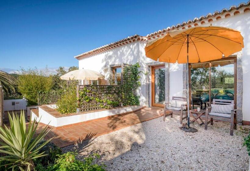 스탠다드 룸, Herdade Quinta Natura Turismo Rural