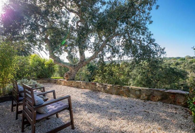 풀장 전망 스위트, Herdade Quinta Natura Turismo Rural