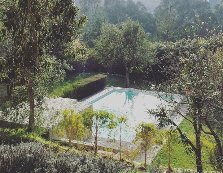 풀장 전망 스위트, Herdade Quinta Natura Turismo Rural