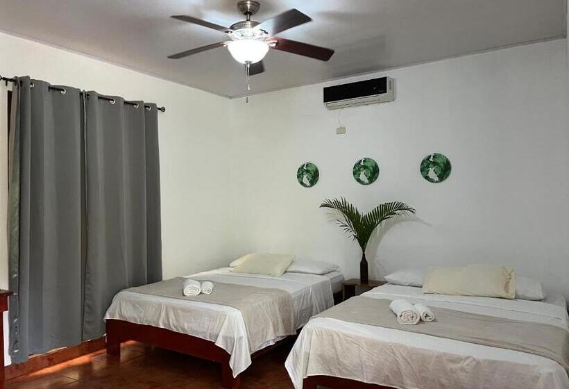 패밀리 스튜디오, La Jungla