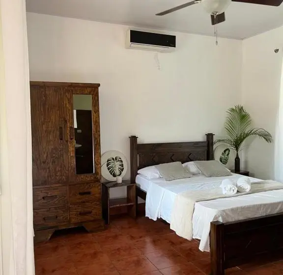 スタンダードルーム, La Jungla