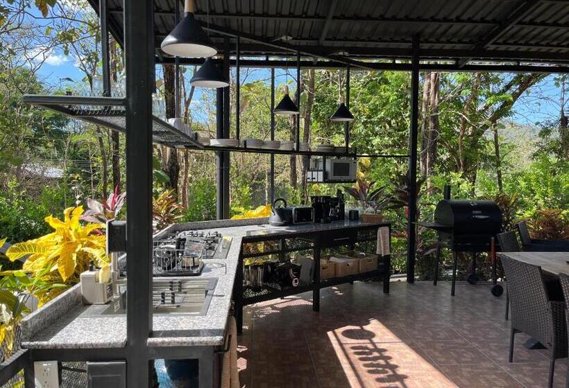 스탠다드 룸, La Jungla