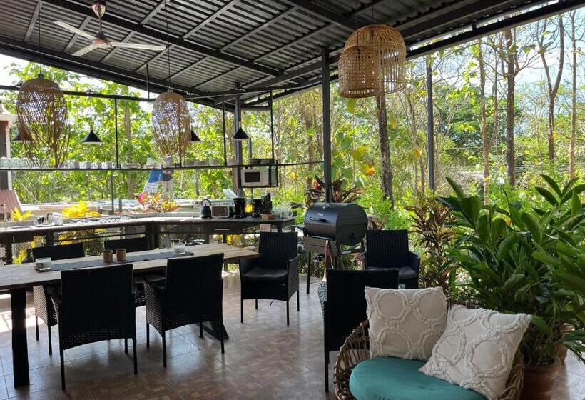 스탠다드 룸, La Jungla