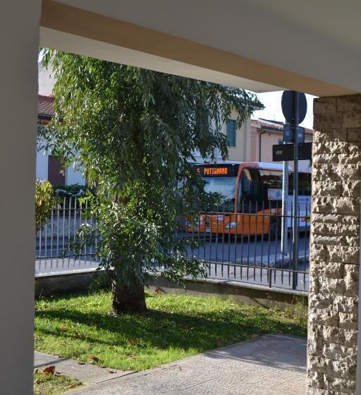 اتاق استاندارد چهارنفره با سرویس بهداشتی مشترک, My Way