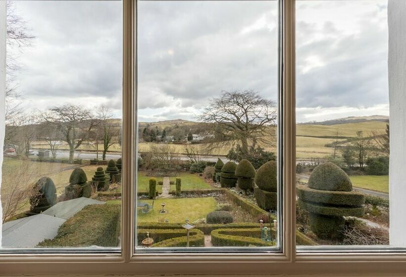 غرفة قياسية, The Hill