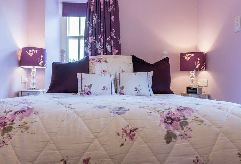 غرفة قياسية, The Hill