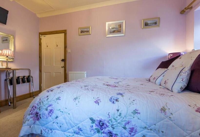 חדר בסיסי, The Hill