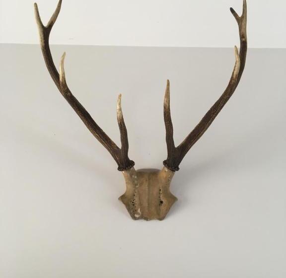 디럭스 룸 킹사이즈 침대, Bridleway Bed & Breakfast