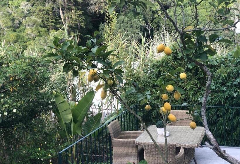חדר סופריור עם טרסה, Casa Holstein Quinta De Sao Sebastiao Sintra
