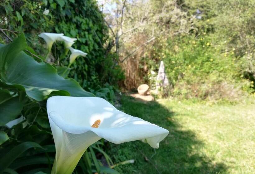 수피리어 테라스 룸, Casa Holstein Quinta De Sao Sebastiao Sintra