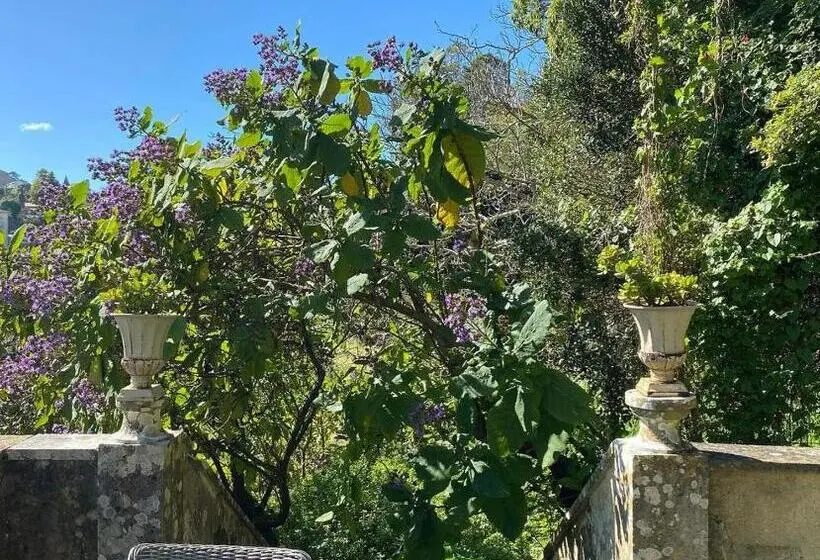 ビラホテル１ベッドルーム, Casa Holstein Quinta De Sao Sebastiao Sintra