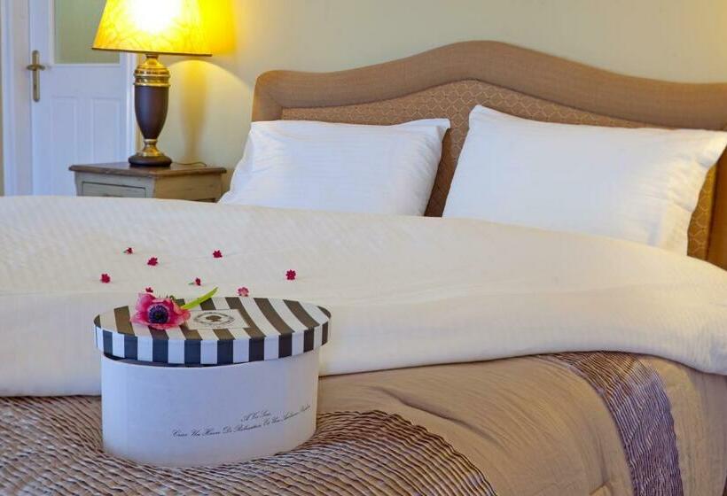 수피리어 룸, Boschetto