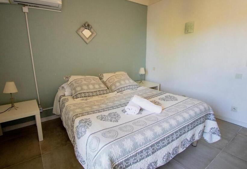 标准房带园景, Carina