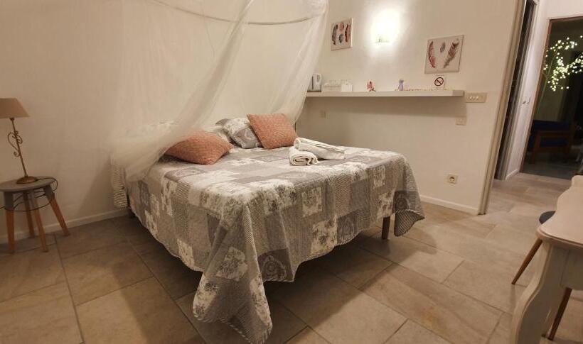 标准房带园景, Carina