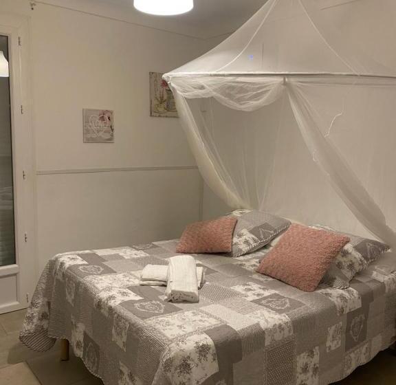 标准房带园景, Carina